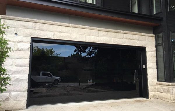 All black Modern full view glass doors